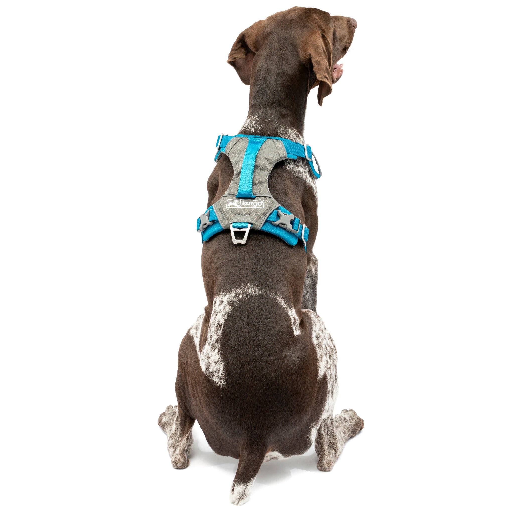 Journey harness kurgo hotsell