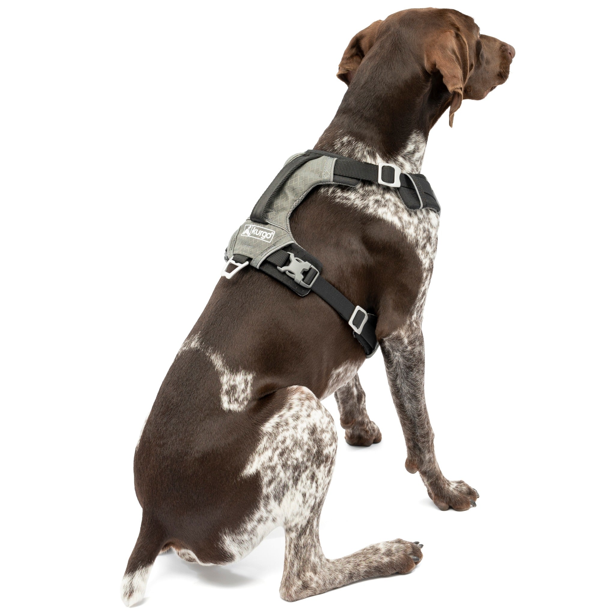 Kurgo journey store air dog harness