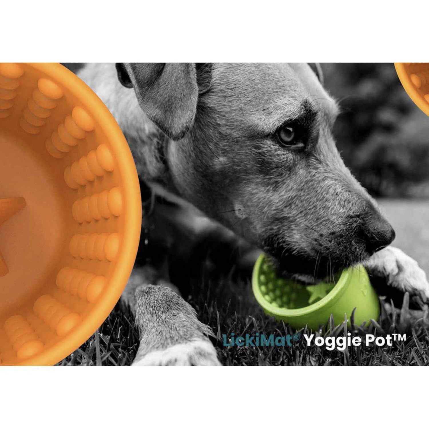 LickiMat Yoggie Pot, Anti - Schling Hundenapf - Woofshack