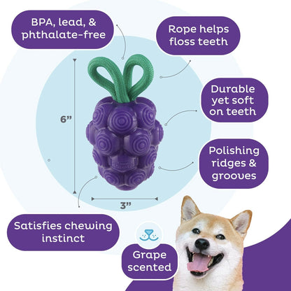 Planet Dog Dental Grapes, Hundespielzeug - Woofshack