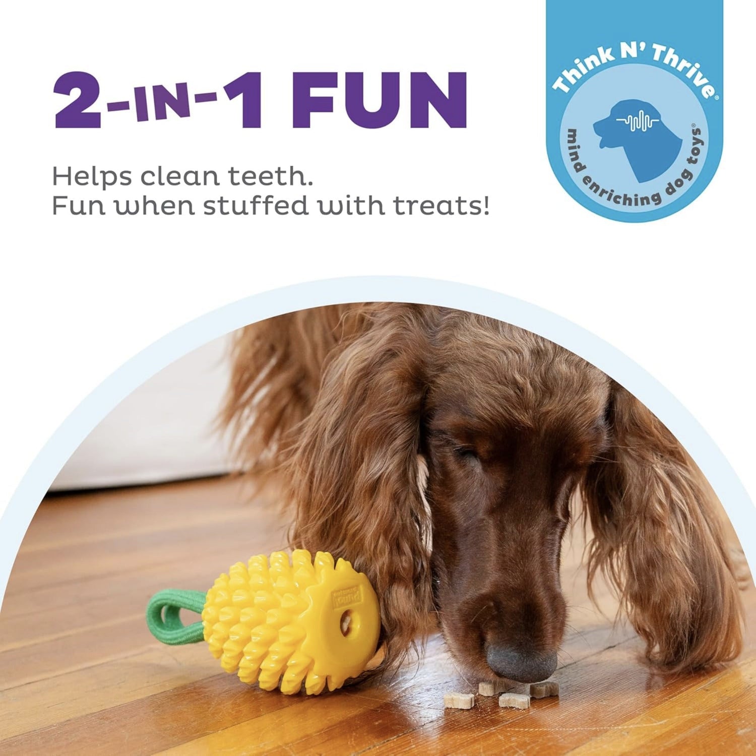 Planet Dog Dental Pineapple, Hundespielzeug - Woofshack