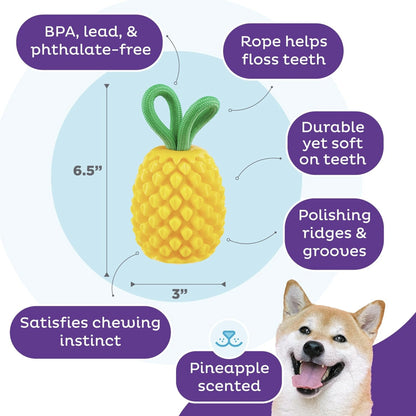 Planet Dog Dental Pineapple, chew toy