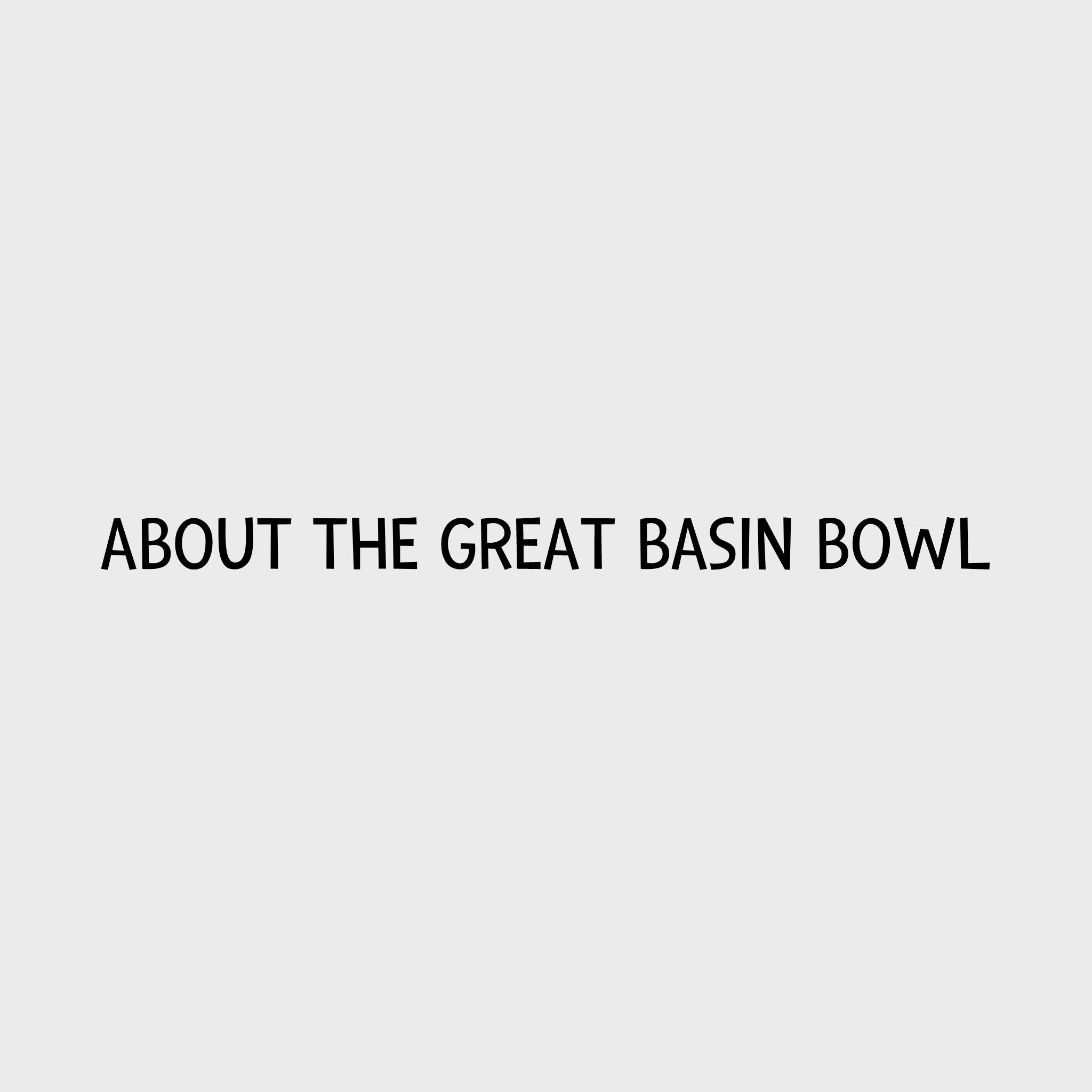 Ruffwear Great Basin Dog Bowl