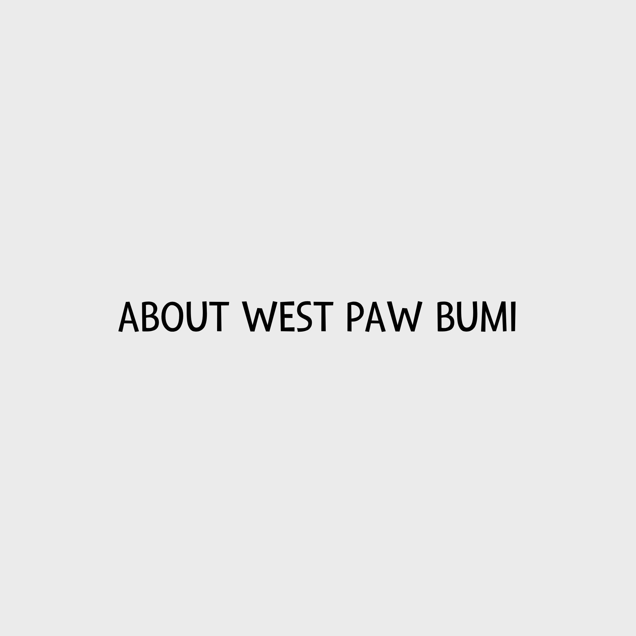 Video - About West Paw Zogoflex Bumi Hundespielzeug