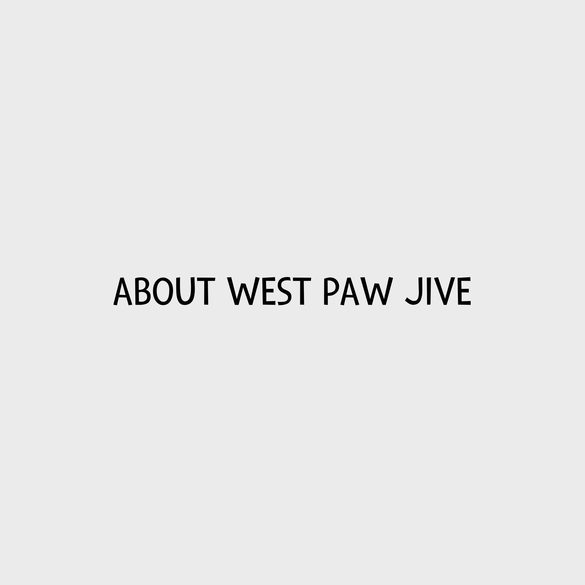 Video - About West Paw Zogoflex Jive Hundespielzeug