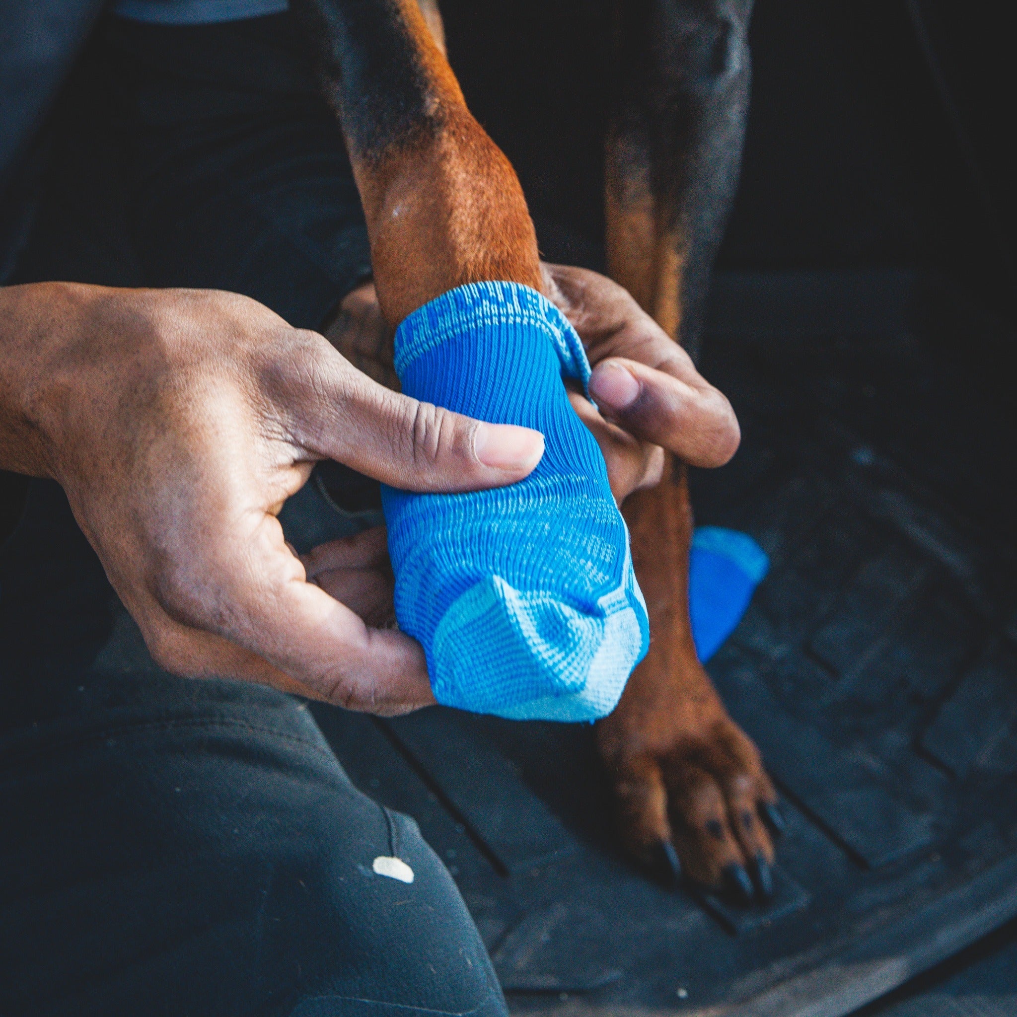 Ruffwear Bark&