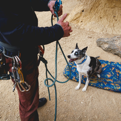 Ruffwear Basecamp Dog Bed