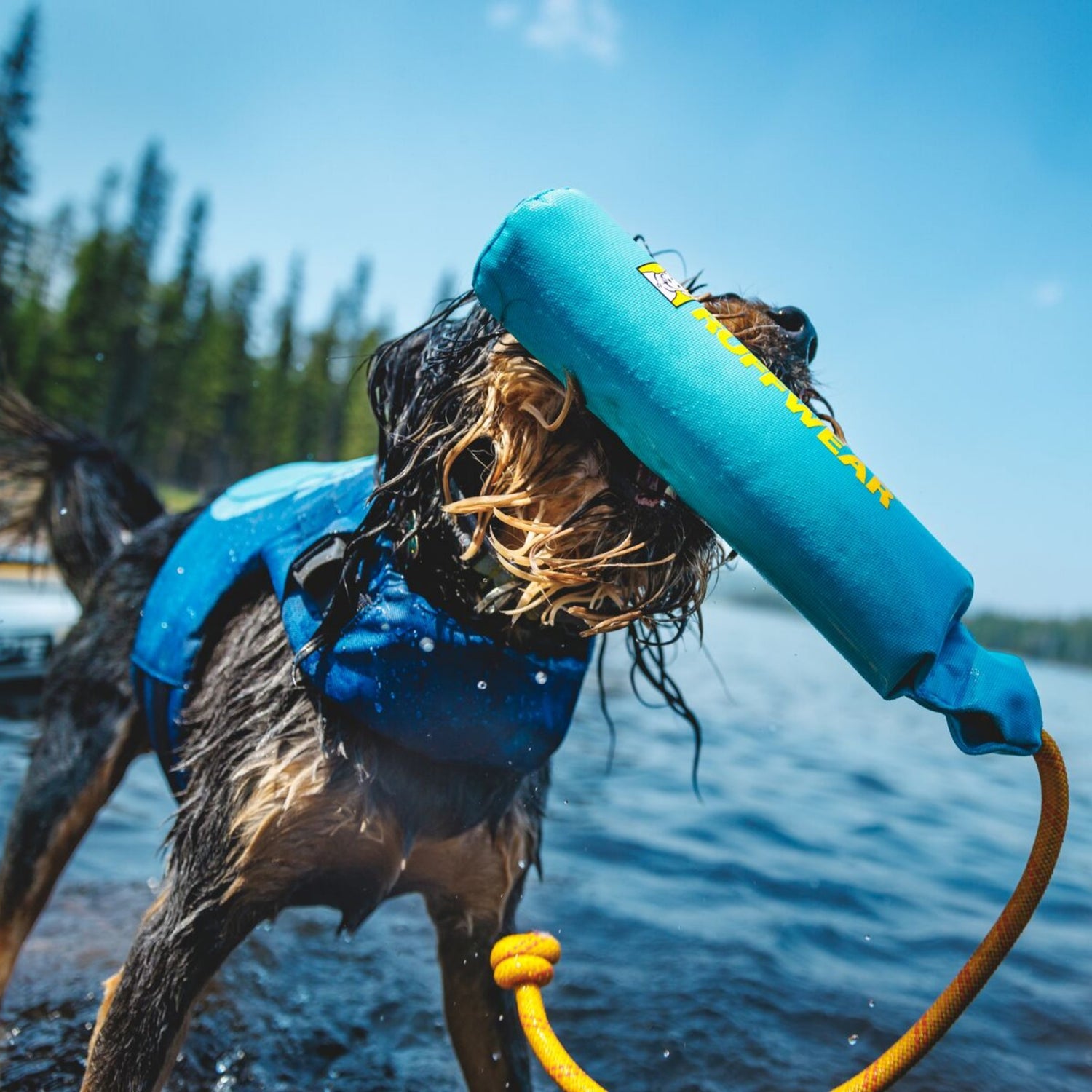 Ruffwear Float Coat, dog life jacket