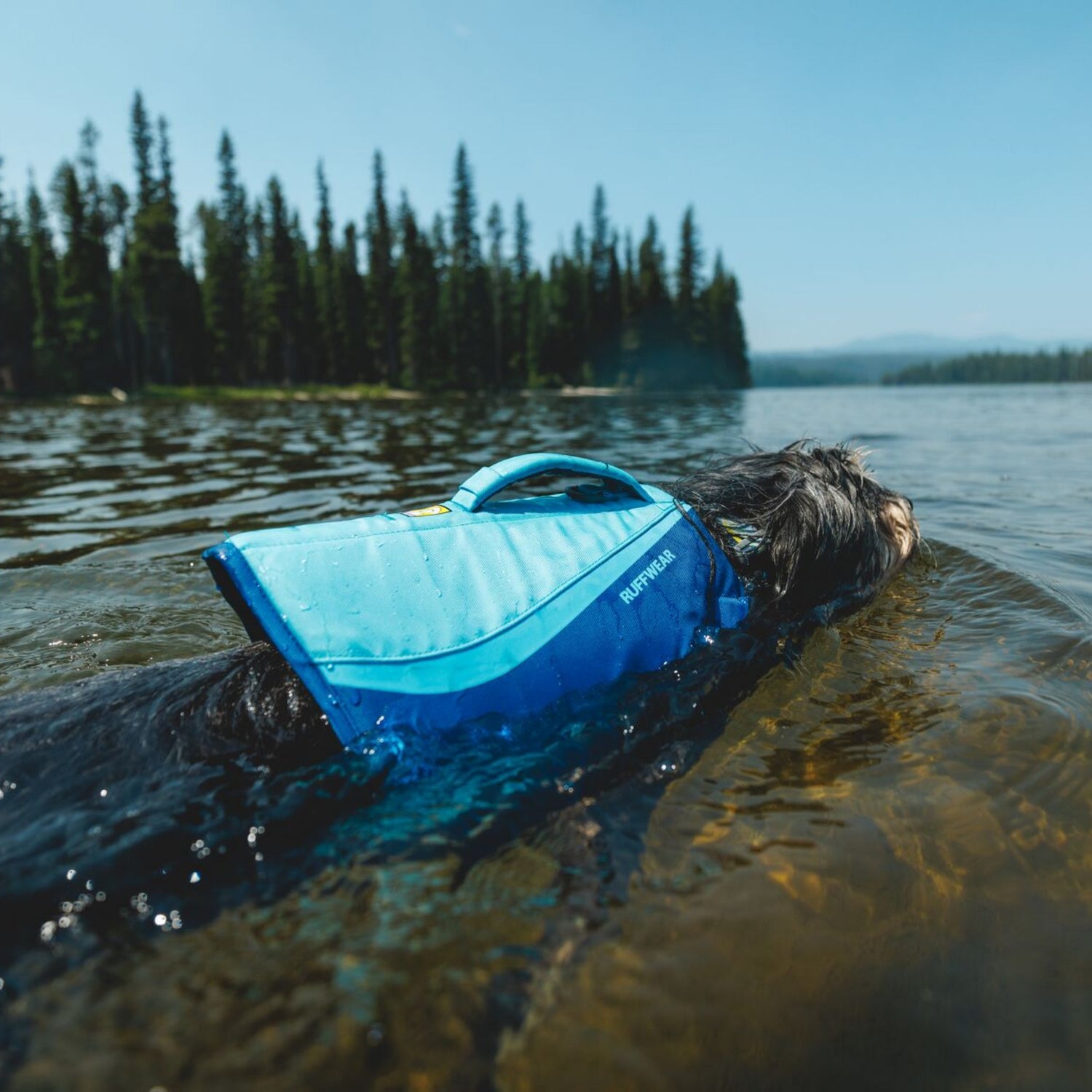 Ruffwear Float Coat, dog life jacket