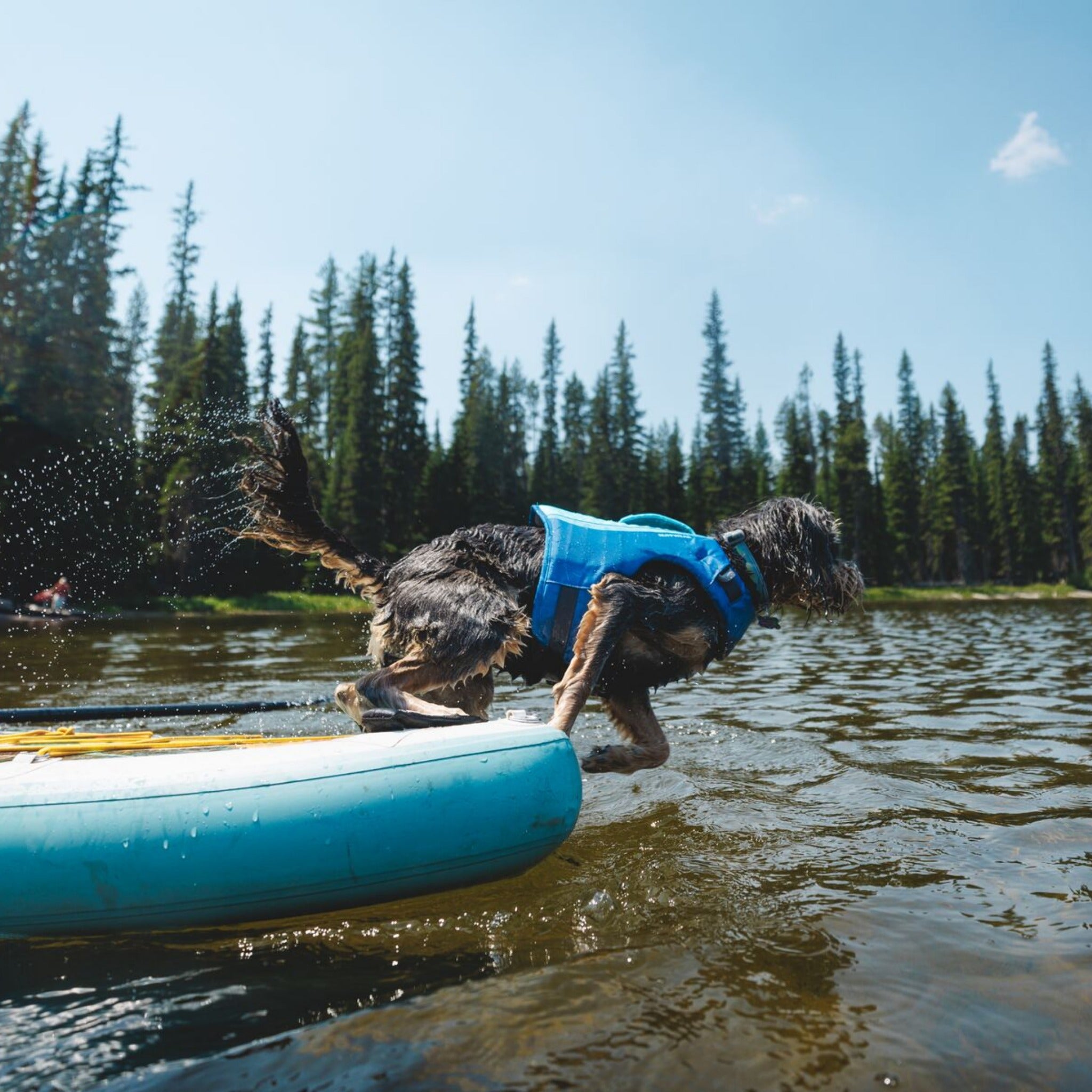 Ruffwear Float Coat, dog life jacket