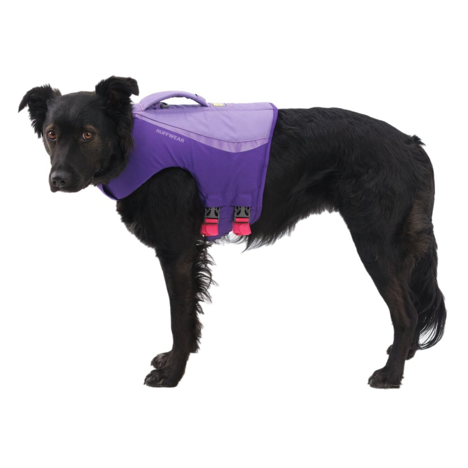 Ruffwear Float Coat, Hundeschwimmweste