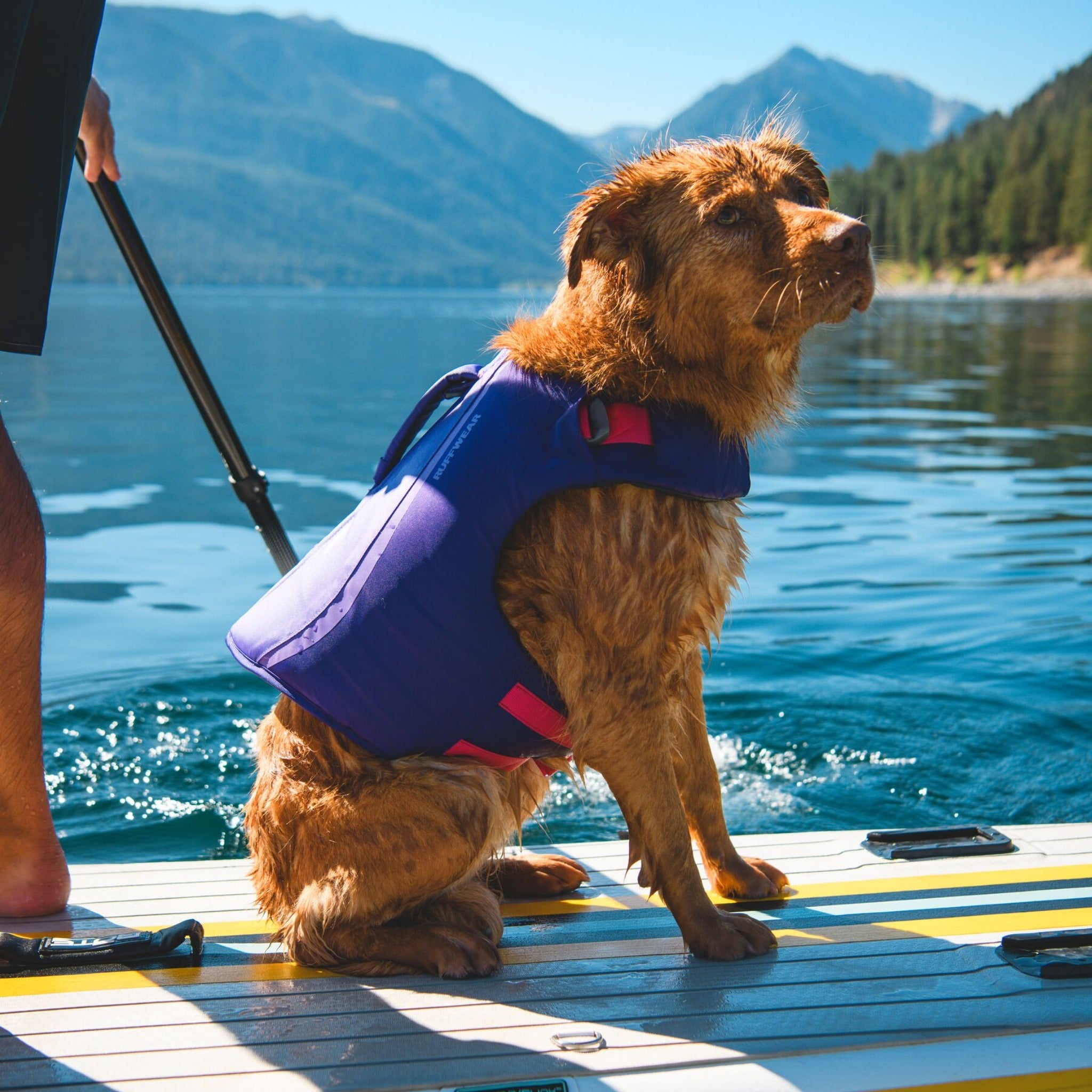 Ruffwear Float Coat, dog life jacket