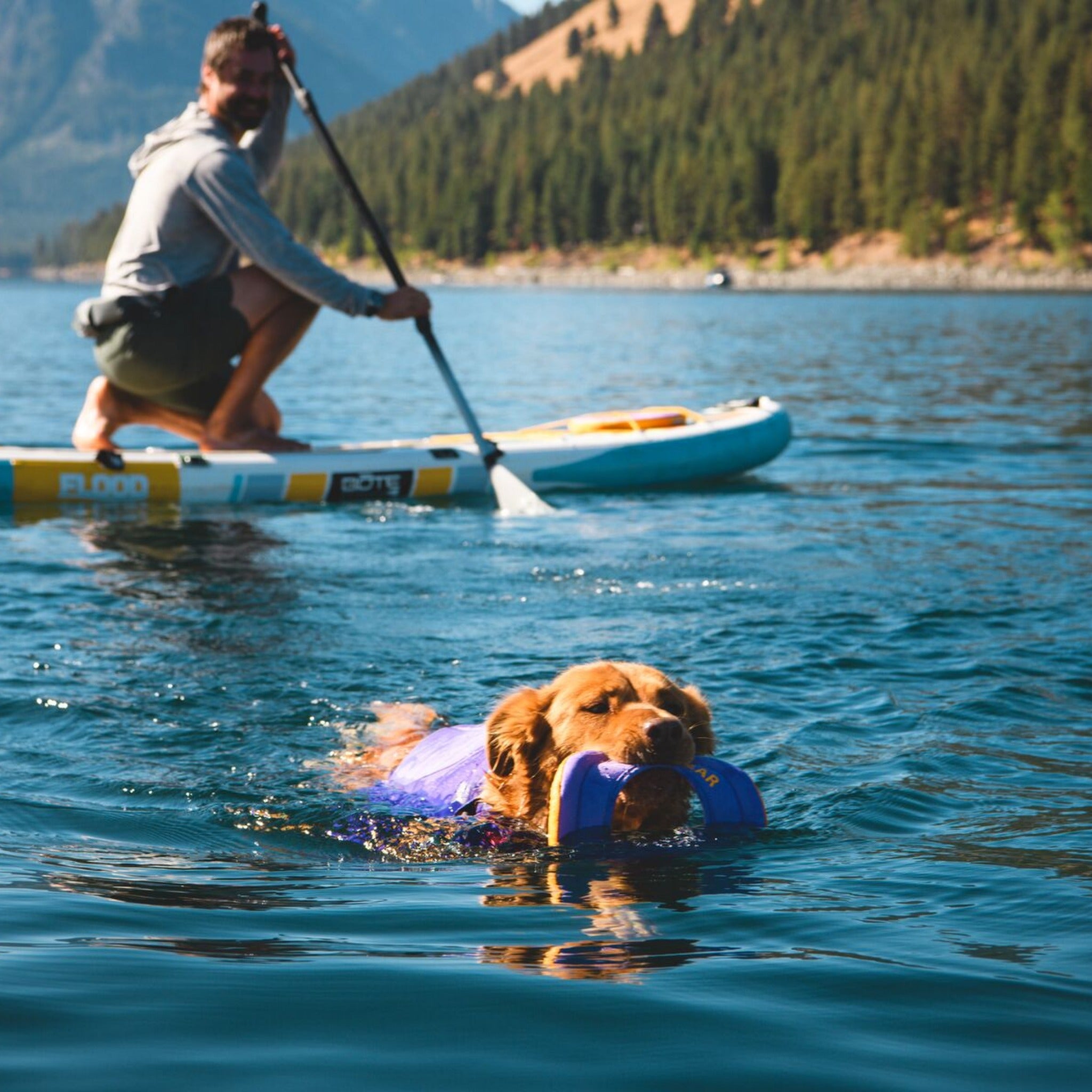 Ruffwear Float Coat, dog life jacket