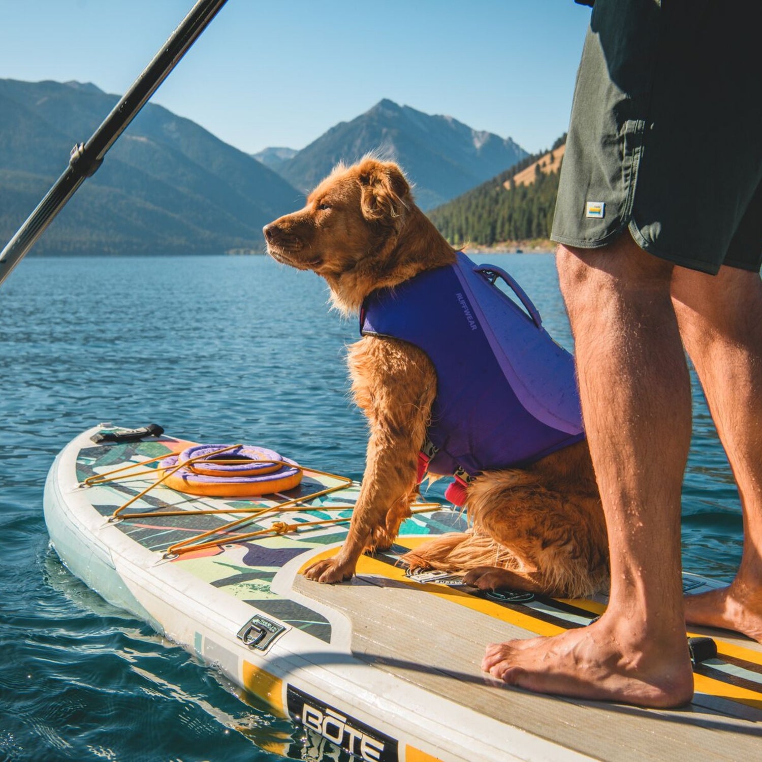 Ruffwear Float Coat, dog life jacket