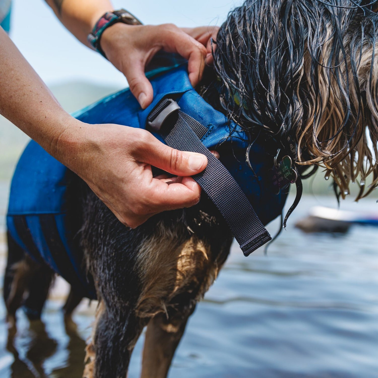 Ruffwear Float Coat, dog life jacket