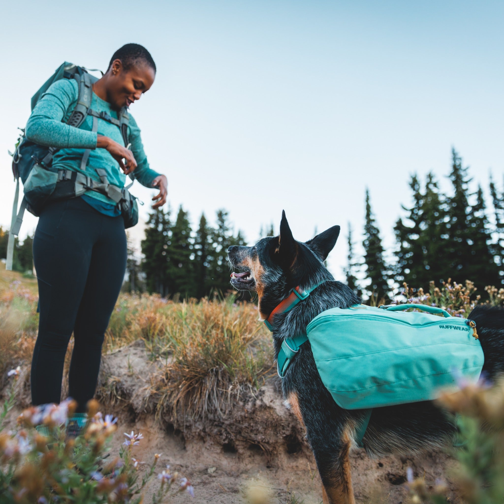 Ruffwear Front Range Day Pack dog backpack