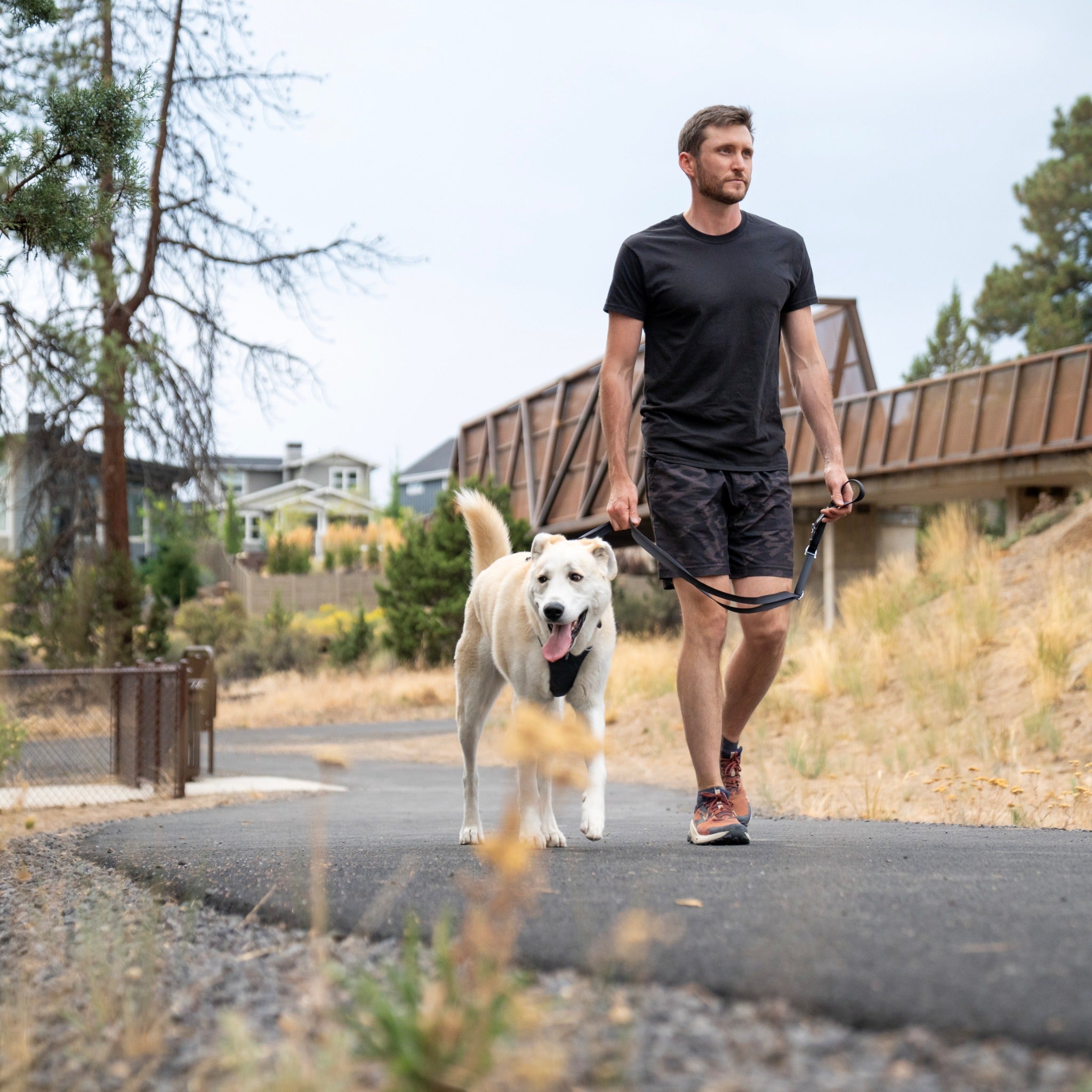 Ruffwear Front Range Dog Harness