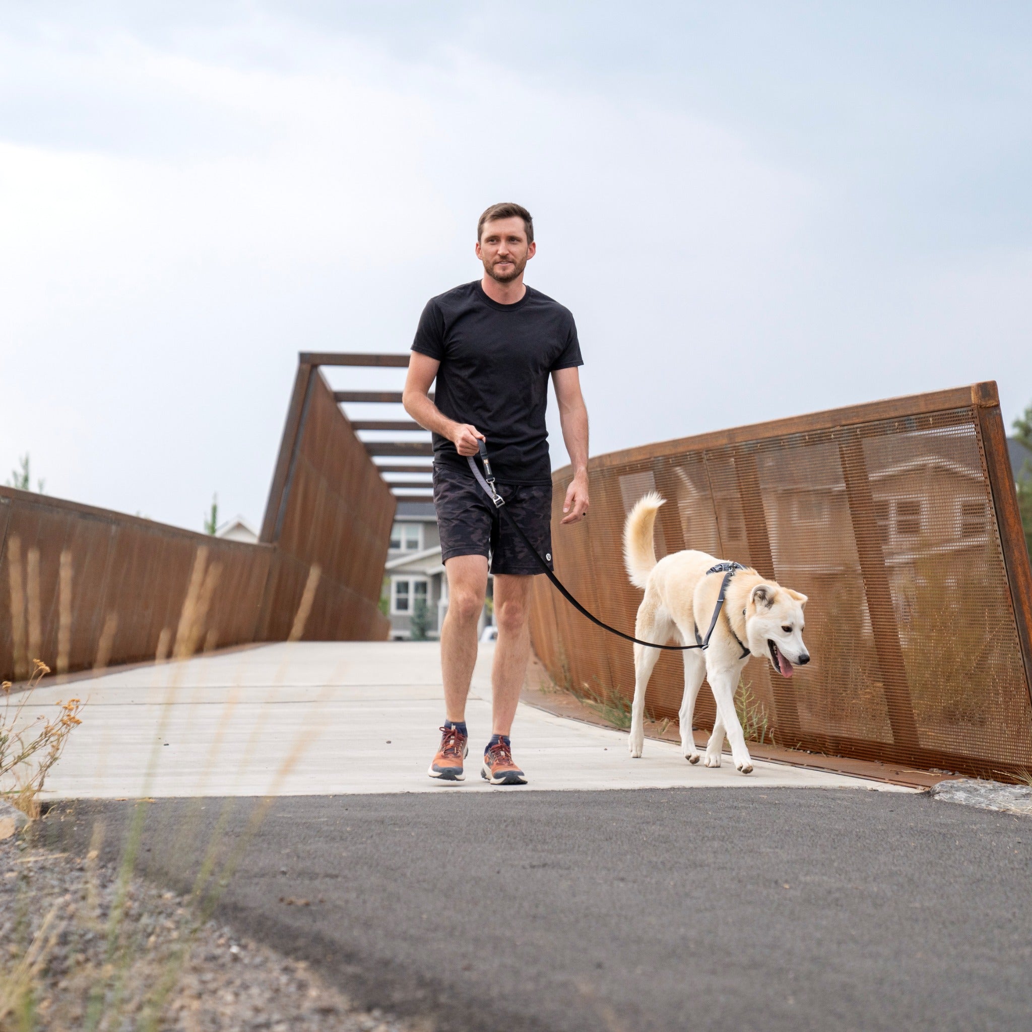 Ruffwear Front Range Dog Harness