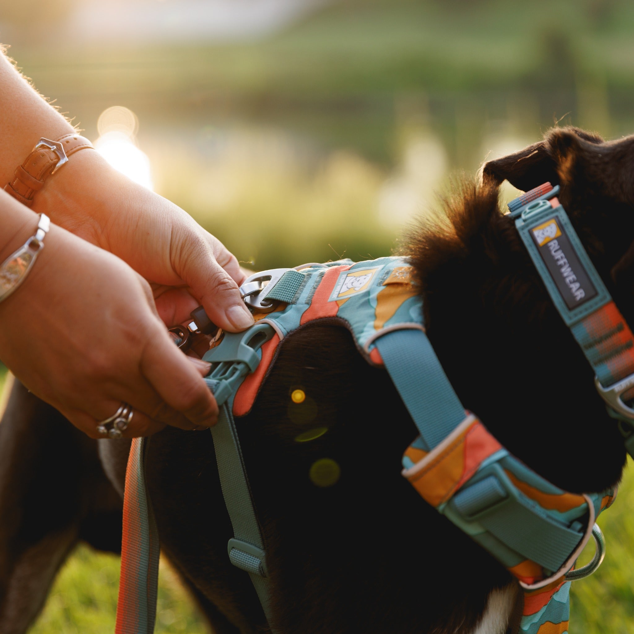 Ruffwear Front Range Dog Harness