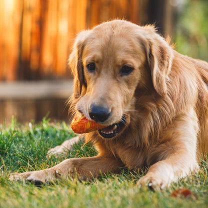 Ruffwear Gnawt - a - Cone, Hundespielzeug - Woofshack