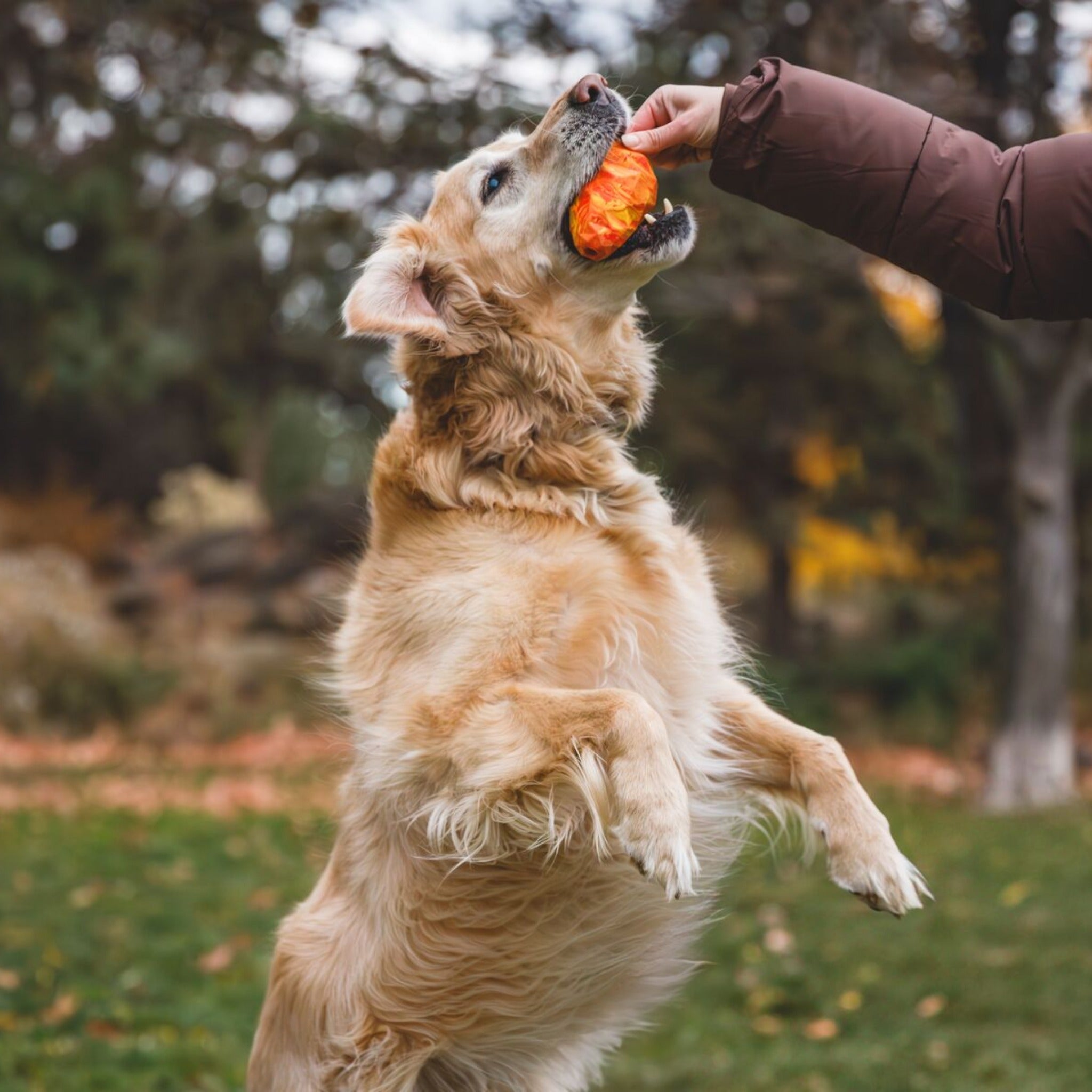 Ruffwear Gnawt - a - Cone, Hundespielzeug - Woofshack