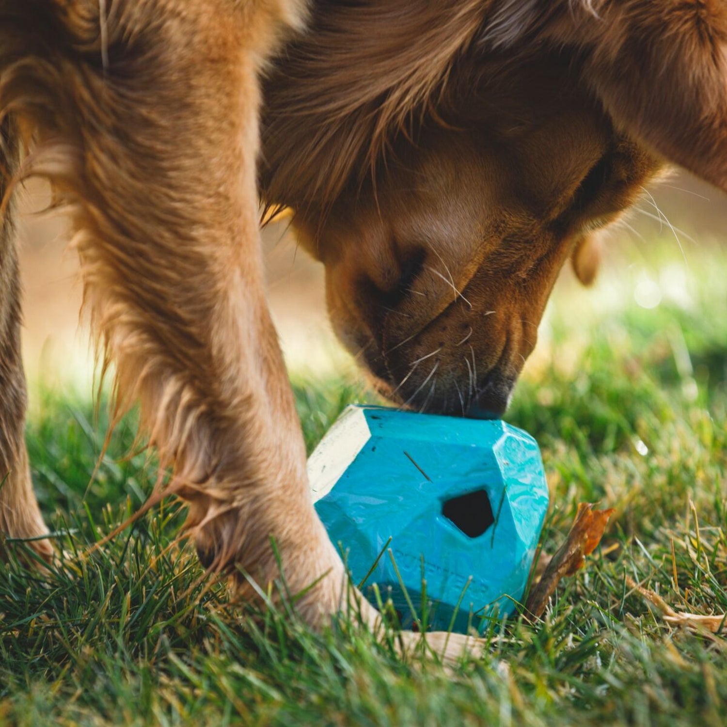 Ruffwear Gnawt-a-Rock, jouet pour chien