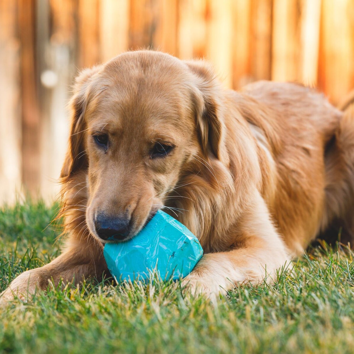 Ruffwear Gnawt-a-Rock, Hundespielzeug