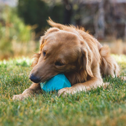 Ruffwear Gnawt-a-Rock, dog toy