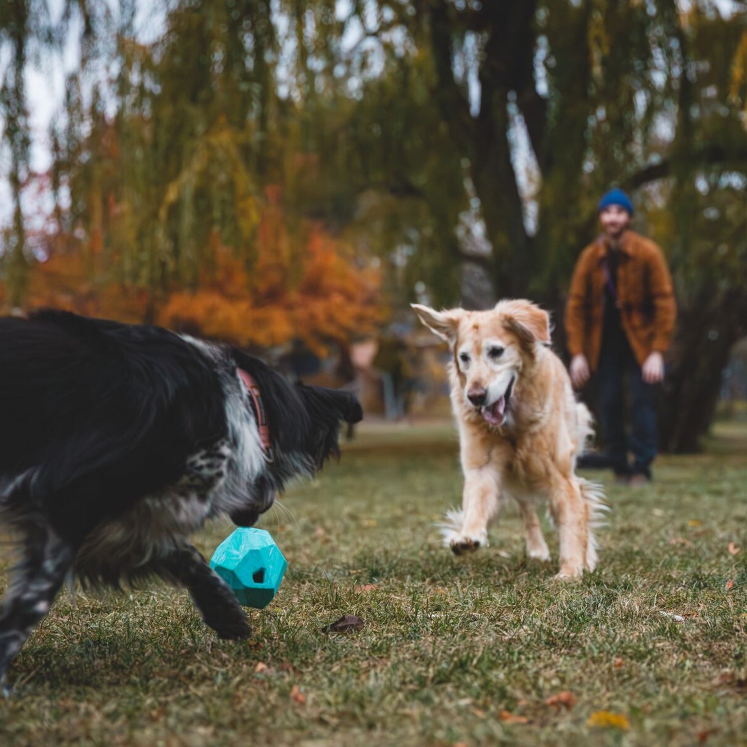 Ruffwear Gnawt-a-Rock, jouet pour chien