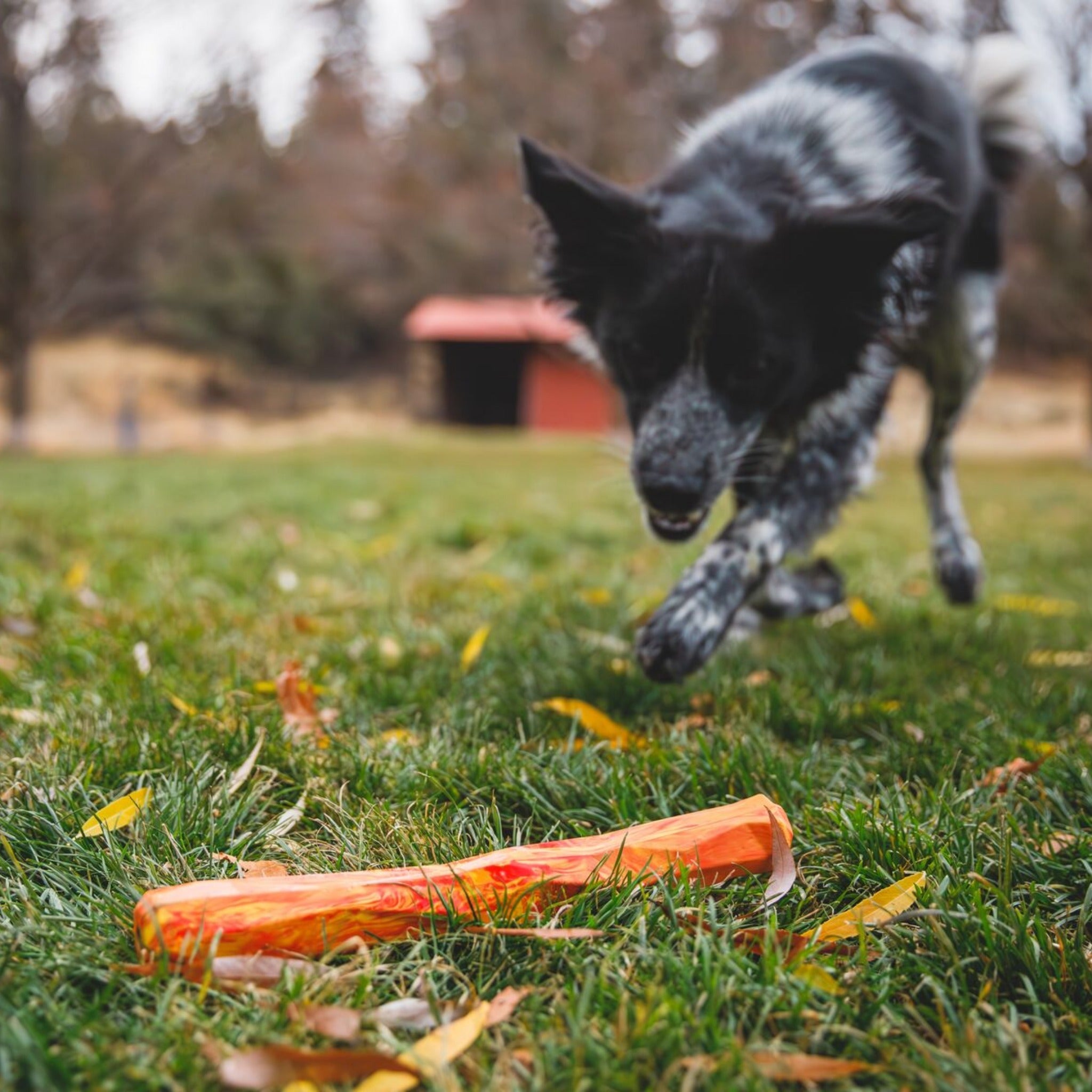 Ruffwear Gnawt - a - Stick, Hundespielzeug - Woofshack