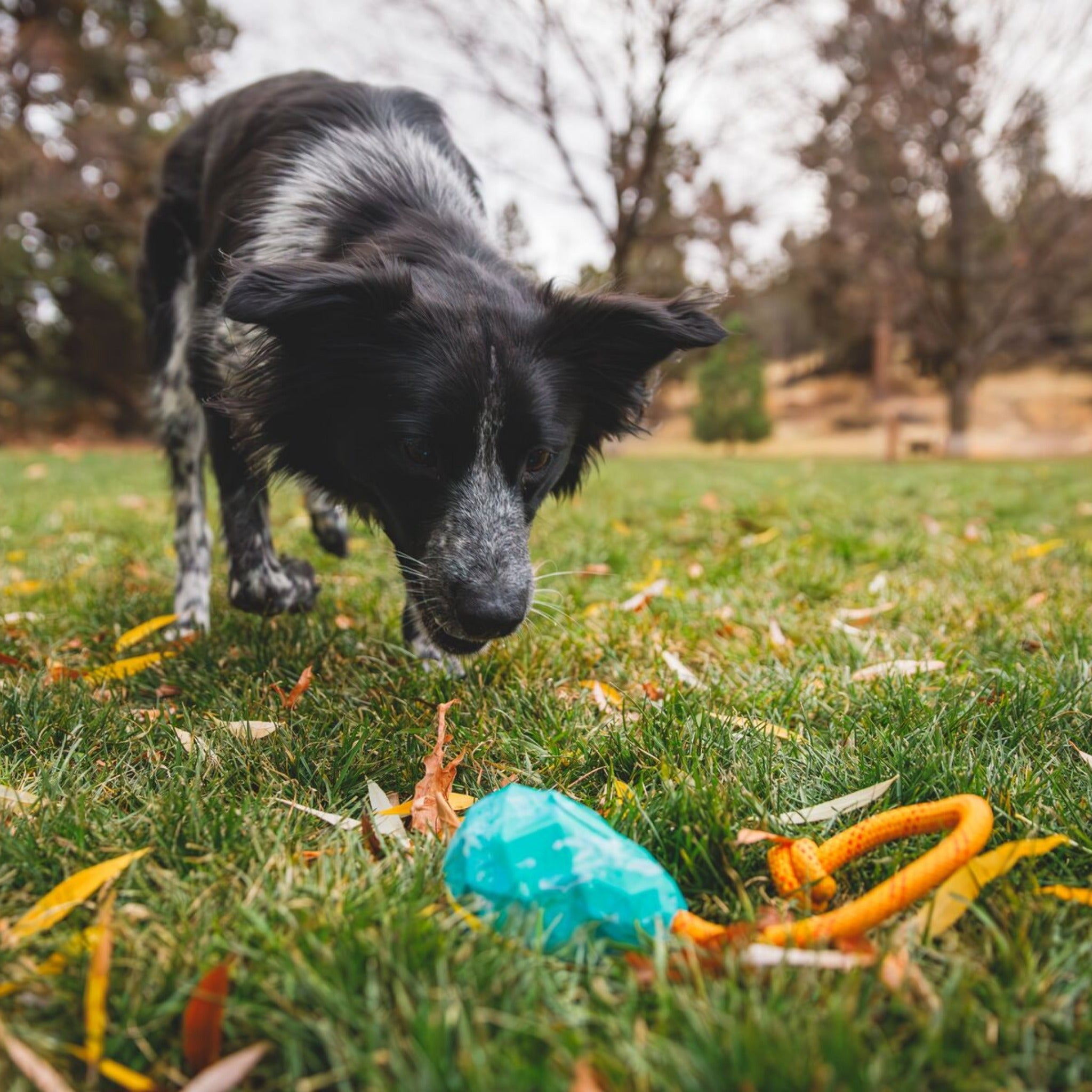 Ruffwear Huck - a - Cone, Hundespielzeug - Woofshack