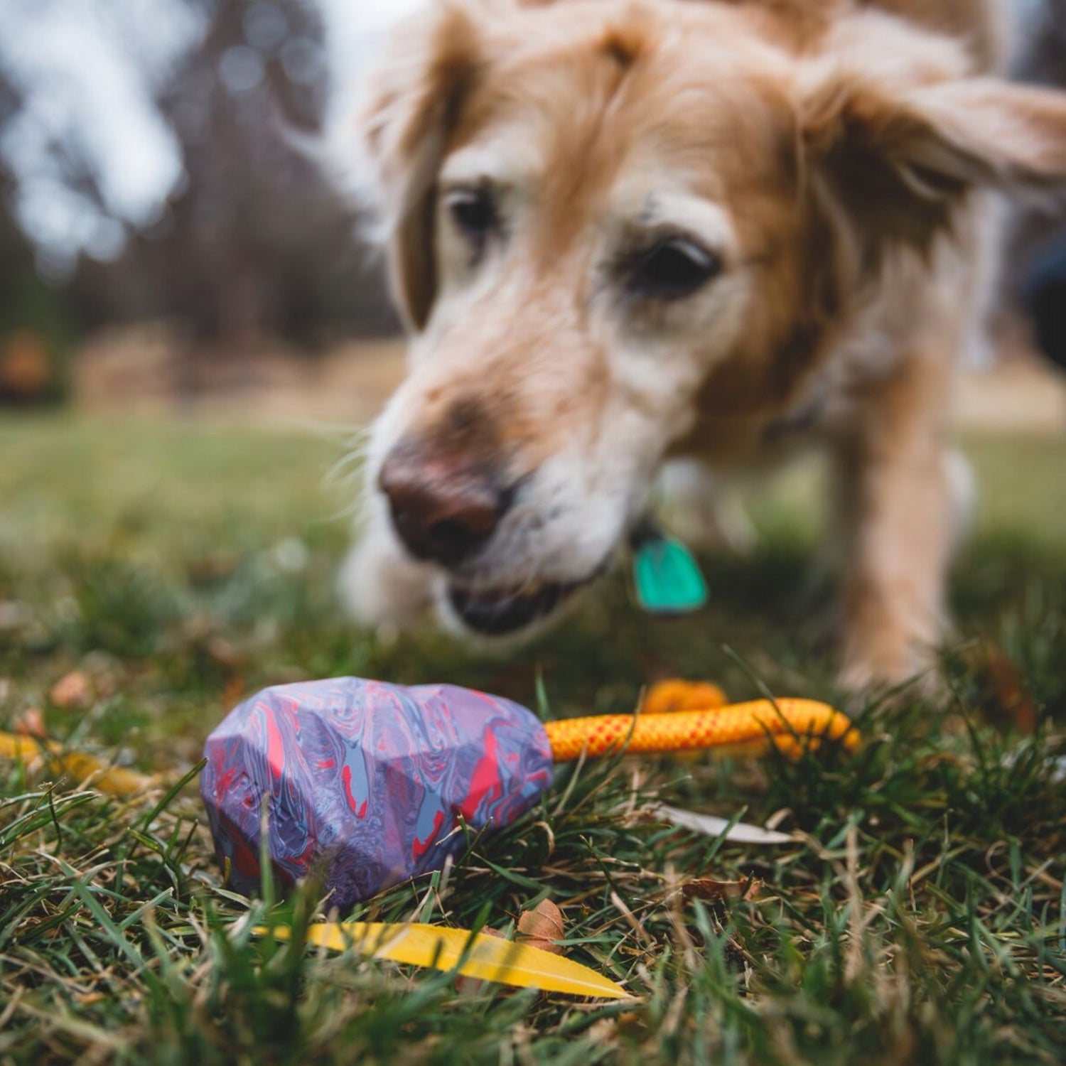 Ruffwear Huck - a - Cone, Hundespielzeug - Woofshack