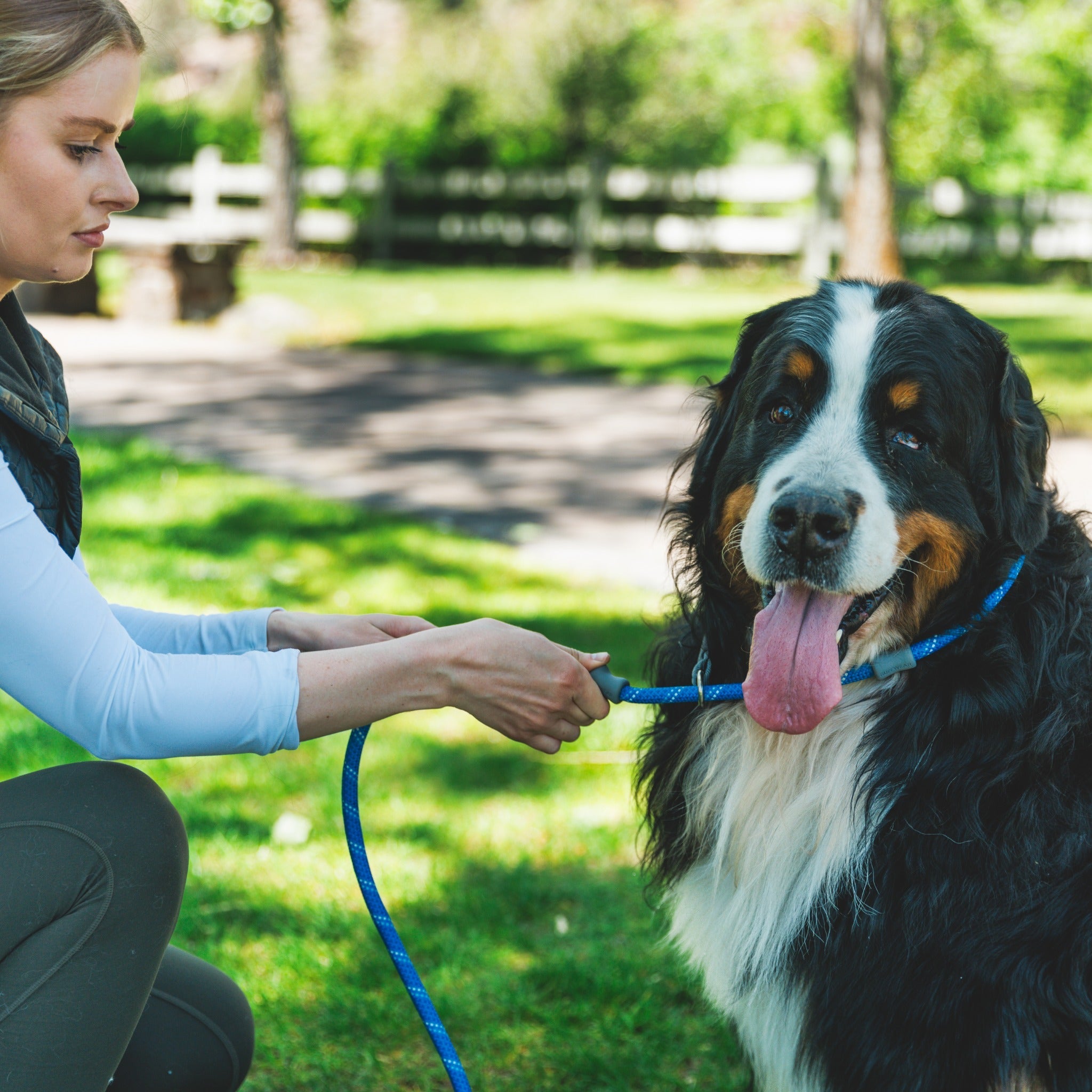 Ruffwear Just - a - Cinch, Hundeleine - Woofshack