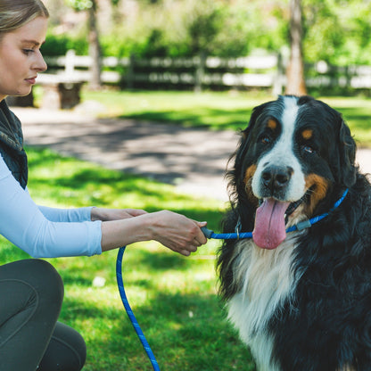 Ruffwear Just - a - Cinch, Hundeleine - Woofshack