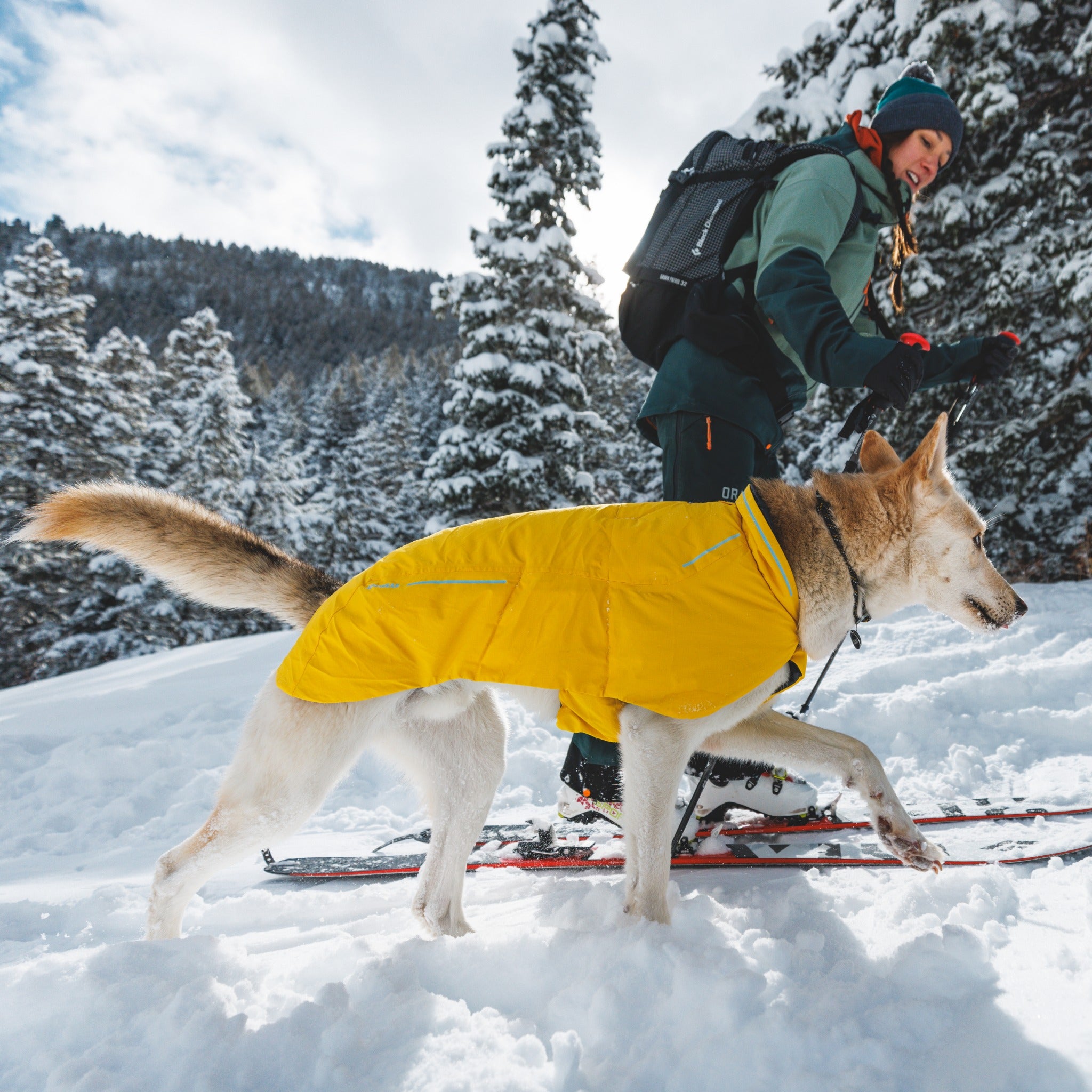 Ruffwear Knot-a-Collar, dog collar