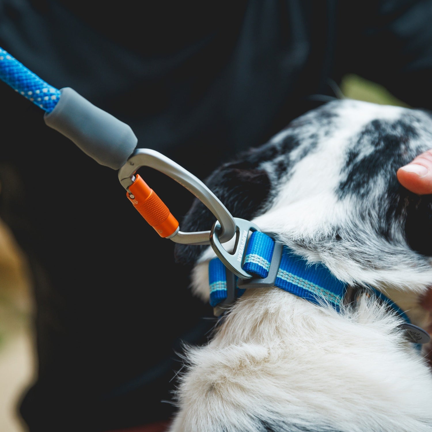 Ruffwear Knot - a - Leash, Hundeleine - Woofshack