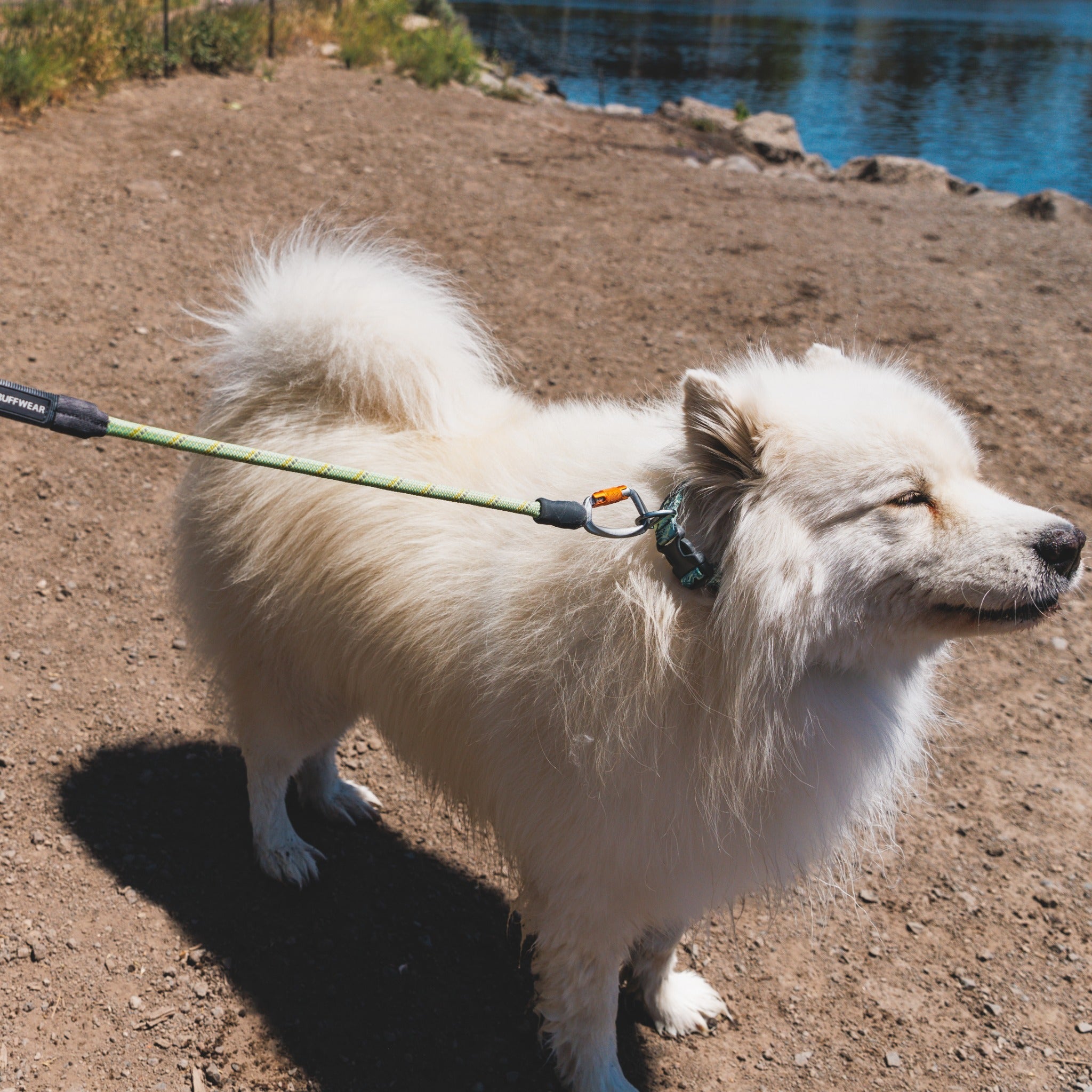 Ruffwear Knot - a - Long, Hundeleine - Woofshack