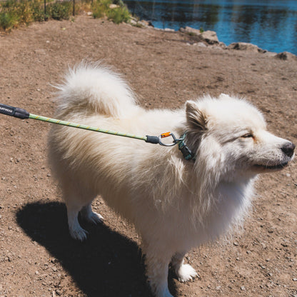 Ruffwear Knot - a - Long, Hundeleine - Woofshack