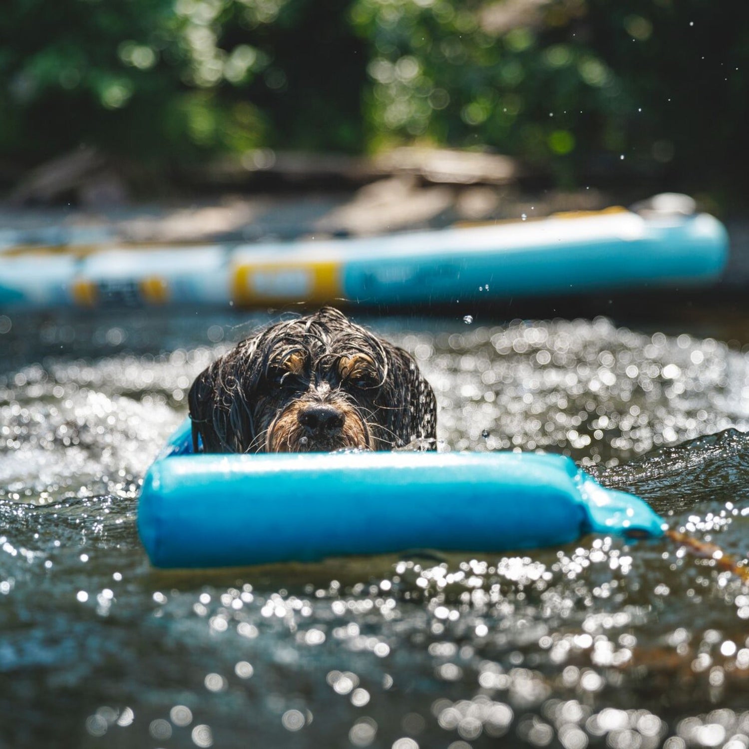 Ruffwear Lunker, Hundespielzeug - Woofshack