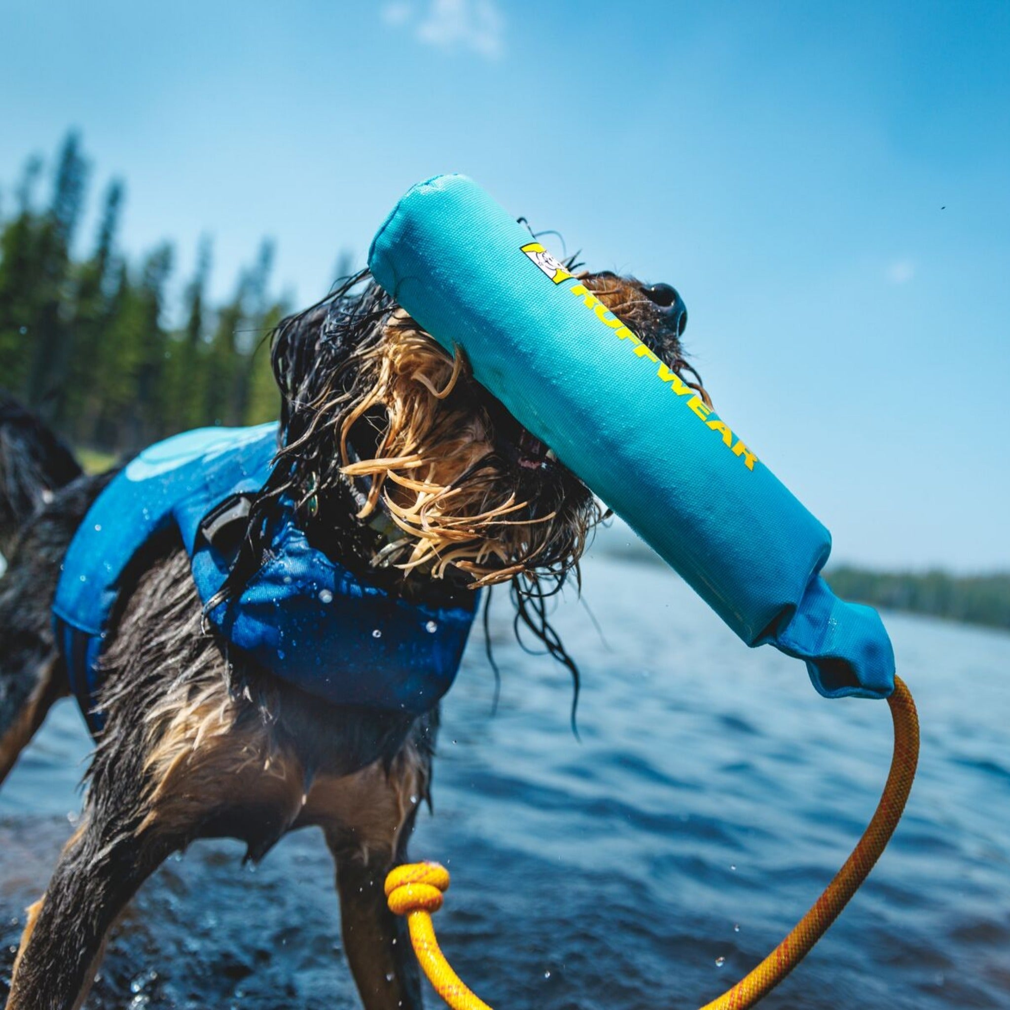 Ruffwear Lunker, Hundespielzeug - Woofshack