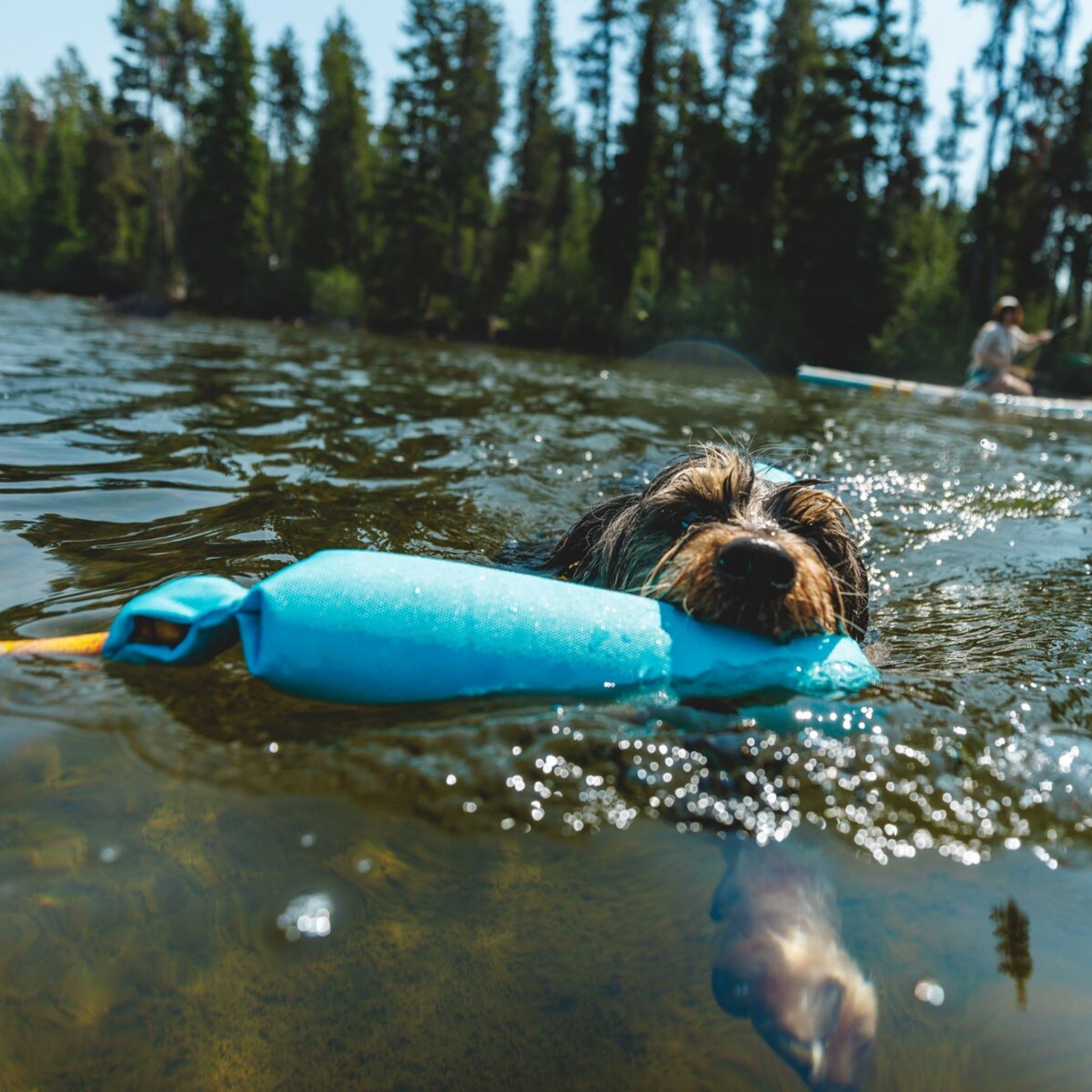 Ruffwear Lunker, Hundespielzeug - Woofshack