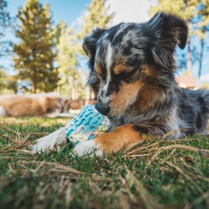 Ruffwear Morel, Hundespielzeug - Woofshack