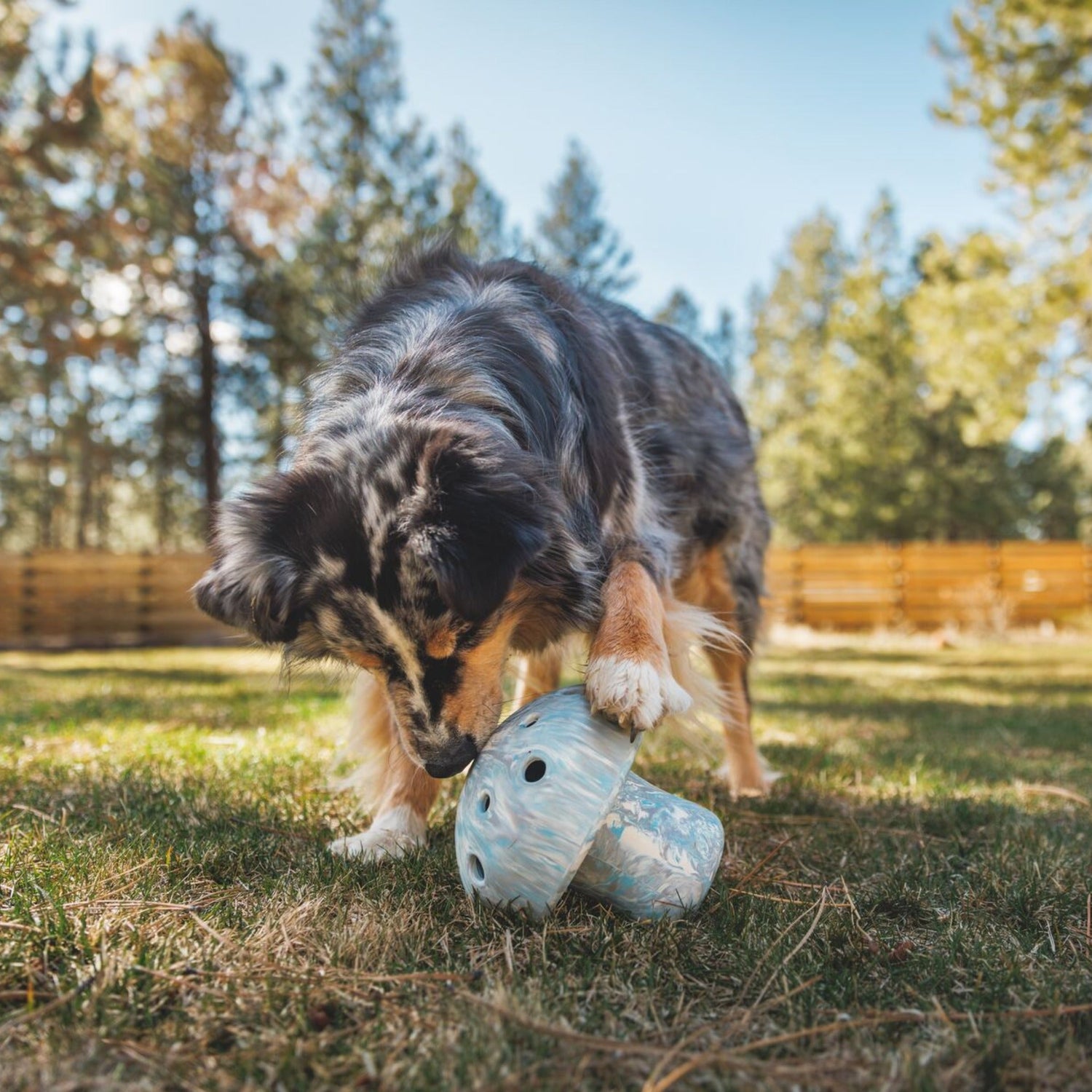 Ruffwear Porcini, Hundespielzeug - Woofshack