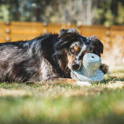 Ruffwear Porcini, Hundespielzeug - Woofshack