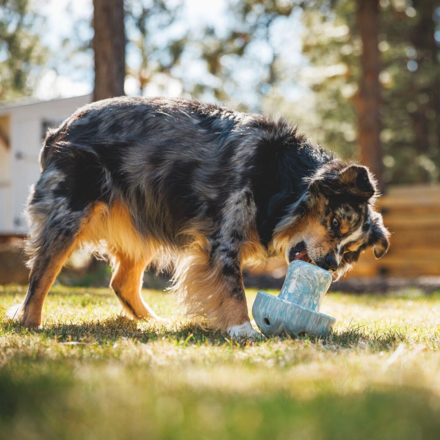 Ruffwear Porcini, Hundespielzeug - Woofshack