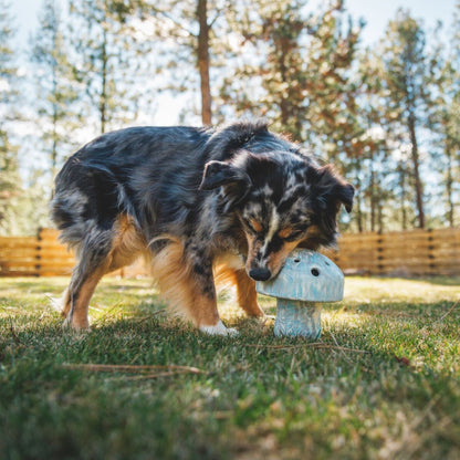 Ruffwear Porcini, Hundespielzeug - Woofshack