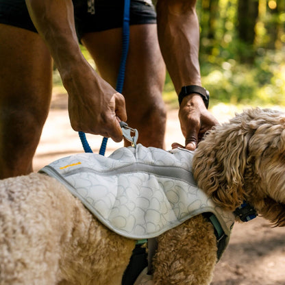 Ruffwear Swamp Cooler Vest, Hundekühlweste - Woofshack