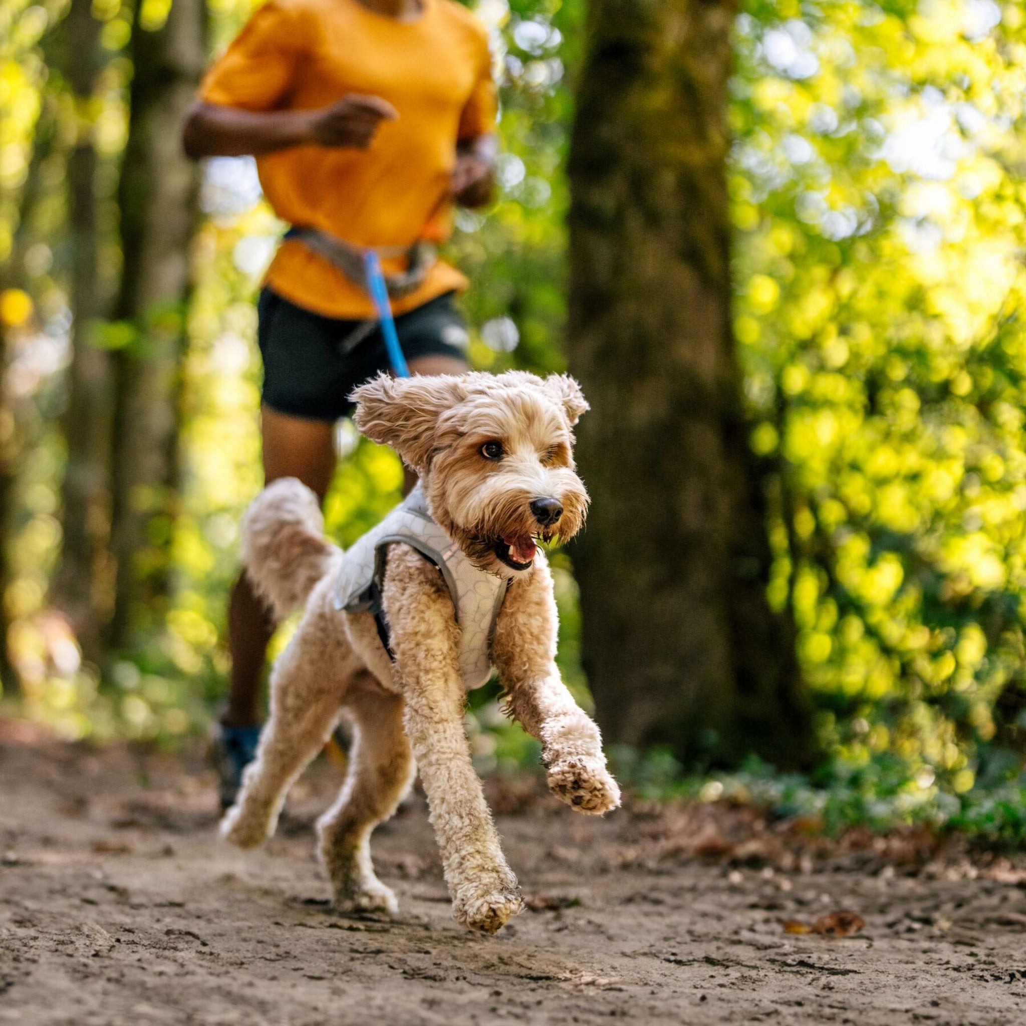 Ruffwear Swamp Cooler Vest, Hundekühlweste - Woofshack