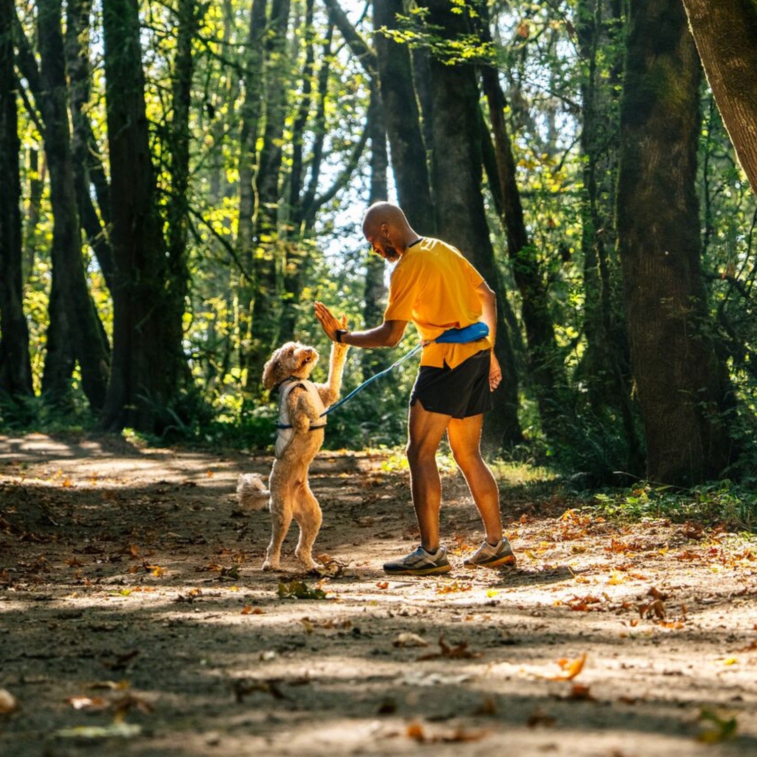 Ruffwear Swamp Cooler Vest, Hundekühlweste - Woofshack