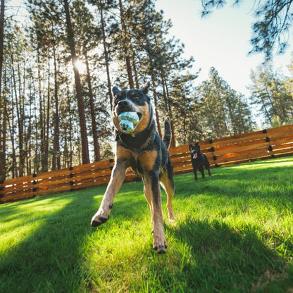 Ruffwear Toadstool, Hundespielzeug - Woofshack